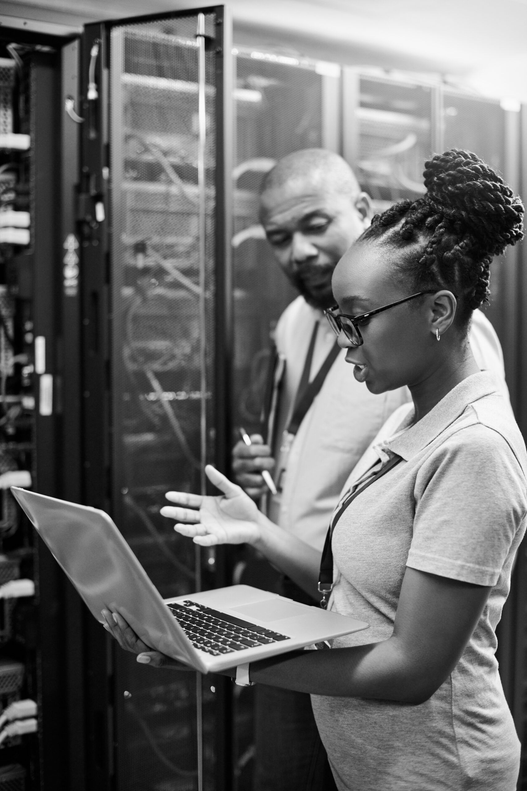 database development, job board